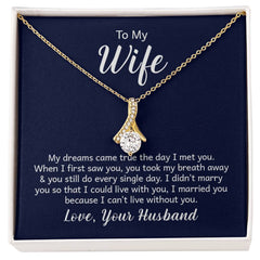 To My Wife - My dreams came true the day I met you Eternal Sparkle: The Alluring Beauty Necklace - A Symbol of Everlasting Love